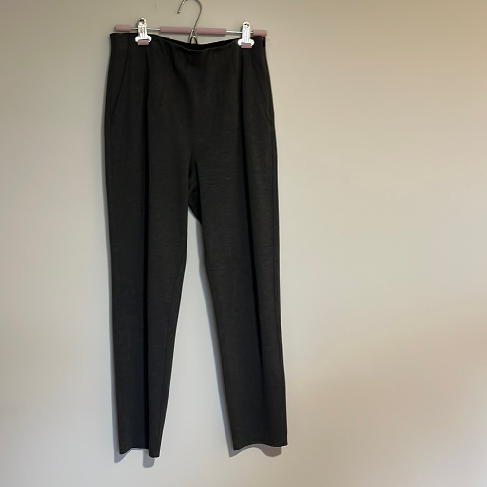 Kit and Ace dress pant. Lightly worn.